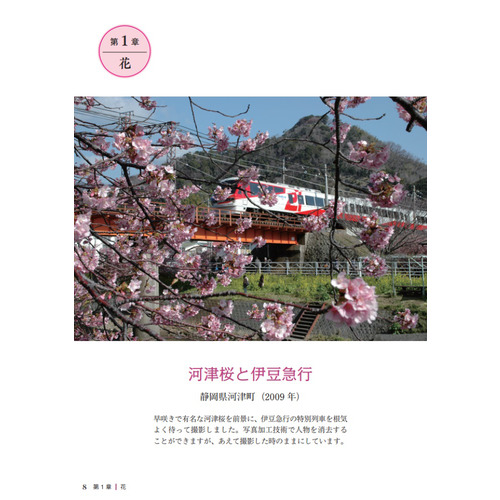 商品写真