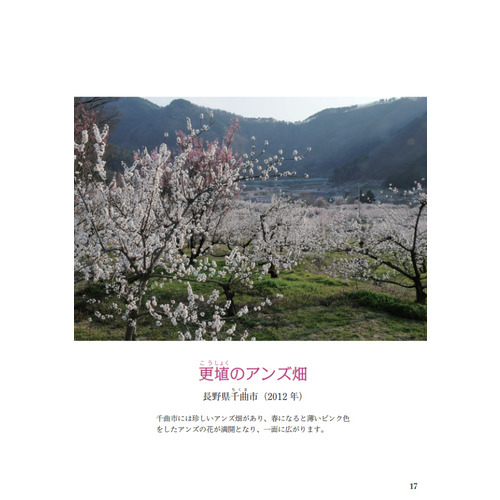商品写真