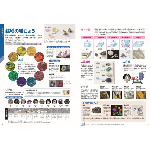商品写真