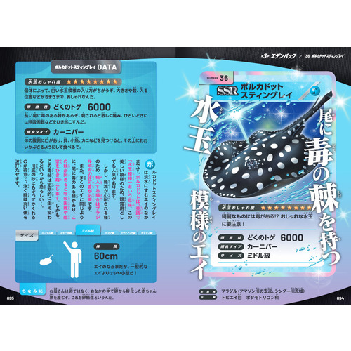 商品写真