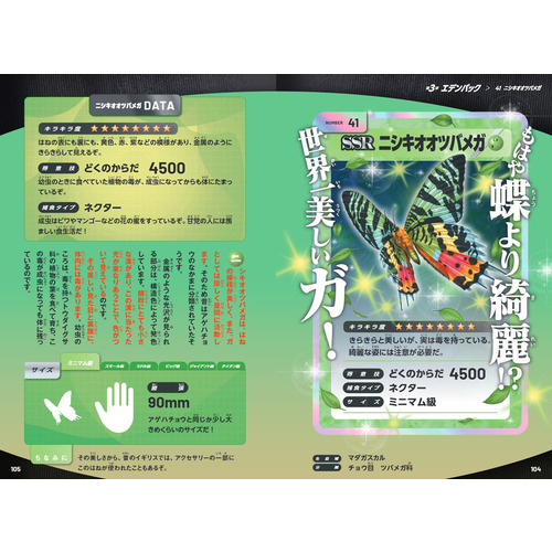 商品写真