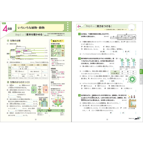 商品写真