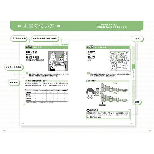商品写真